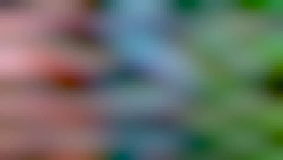 Diagram illustrating the step-like evolution of morphological, organismal and technological traits. At the background of the image we can see three  examples of punctuated evolution (large extinctions, climate change, and epidemic spreading).  Image designed and rendered by Blai Vidiella. 