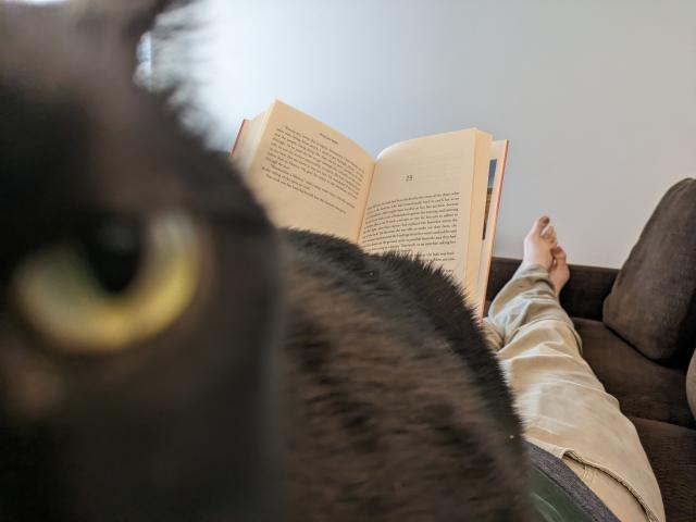 a man holding a book lying on a brown couch, viewed from his perspective. the large yellow eye & face of a black cat obscures the view of the book.