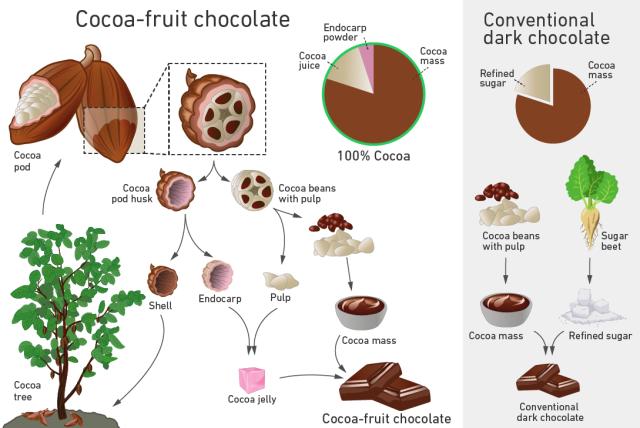 chocolate production