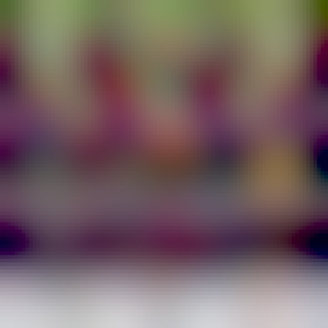 Cartel con el título "Fanzine: un recorrido visual por las infraestructuras feministas que soñamos, somos y construimos". En un fondo de color morado vemos cactus y magueis verdes con flores rojas y anaranjadas que cuelgan de arriba hacia abajo. En la parte derecha hay un código QR con el enlace al fanzine y en la parte inferior los logotipos de Numun Fund, Sursiendo y Whose Knowledge?