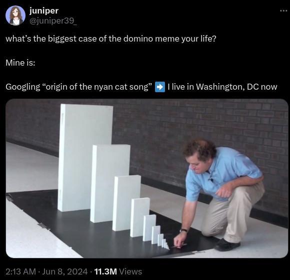 A tweet asks: "what’s the biggest case of the domino meme your life?

Mine is:

Googling “origin of the nyan cat song” ➡️ I live in Washington, DC now"