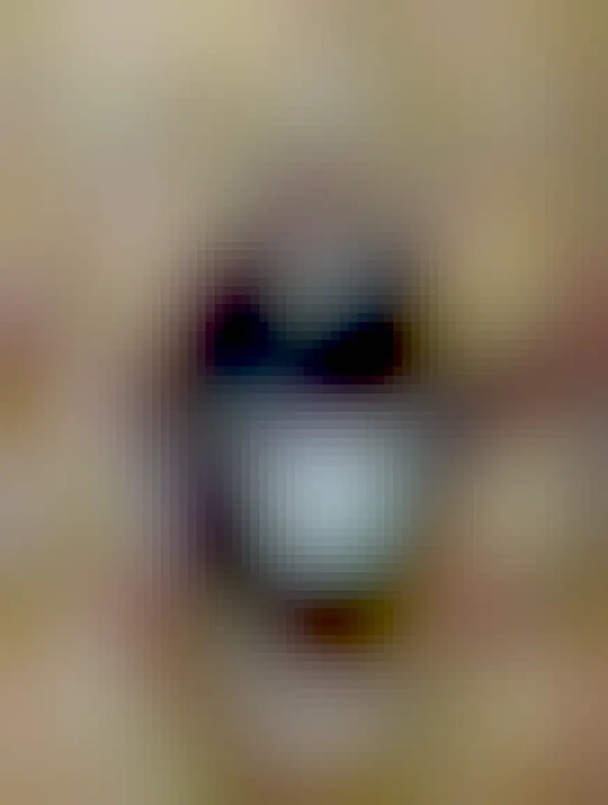 A black and white cat with an intense stare looking right at the camera. 