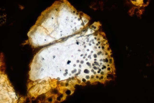 Kainsaz Meteorite Thin Section Microphotos.

Solar Anamnesis, CC BY-NC-SA 2.0 via Flickr: https://flic.kr/p/QfsCUi