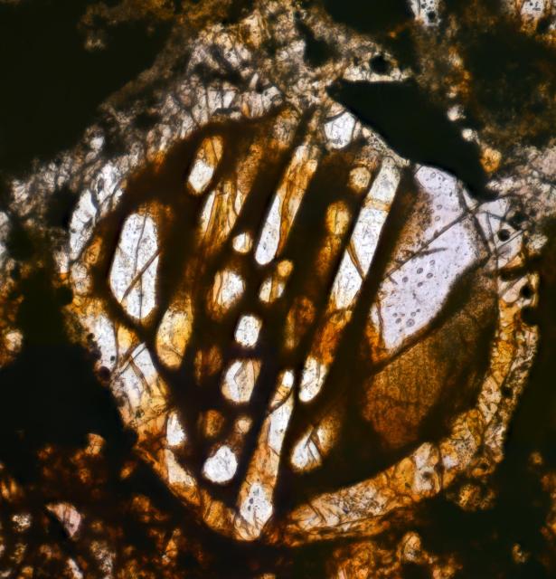 NWA 4723 Meteorite Thin Section Microphoto.

Solar Anamnesis, CC BY-NC-SA 2.0 via Flickr: https://flic.kr/p/2hddHCT