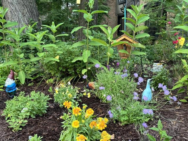 A garden scene with many flowers, framing a little wooden birdhouse, where a chickadee peaks in.