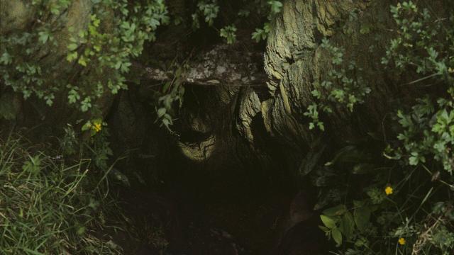 two photos blended together, one of the entrance of a cave and a second one of the inside of the cave merging in an eerie image