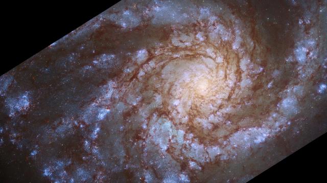 "Webb and Hubble's Views of Spiral Galaxy NGC 4254."

Image: NASA, ESA, CSA, STScI, Janice Lee (STScI), Thomas Williams (Oxford), PHANGS Team, Public domain, via Wikimedia Commons. Color edits.