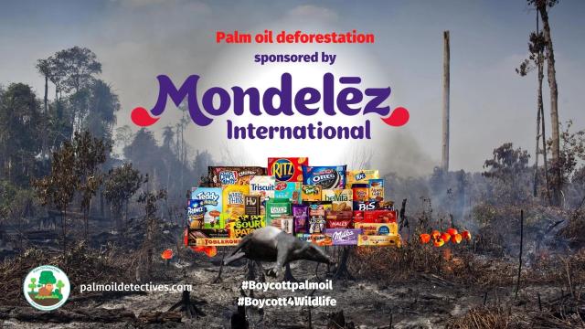 #News: Through shareholder resolutions, letters, and activism, consumers and shareholders can push companies to clean up #palmoil and other #supplychains—and their reputations #Boycottpalmoil https://www.nrdc.org/stories/when-customers-and-investors-demand-corporate-sustainability
