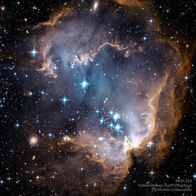 A star cluster is shown in and around a gas cloud that looks like an oyster. The rollover image shows the same cluster not only in visible light, but X-ray and infrared too.