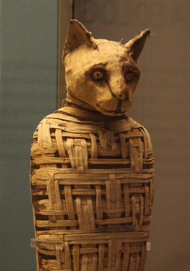 Photo of an Egyptian mummy of a cat.