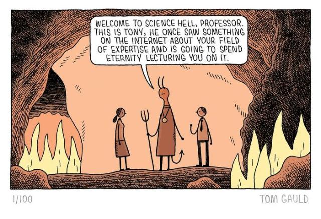 tom gauld