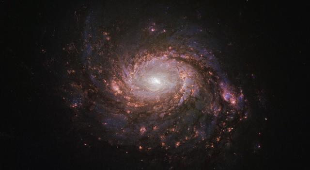 "Messier 77. H-alpha edit."

geckzilla, CC BY 2.0, via Wikimedia Commons.
