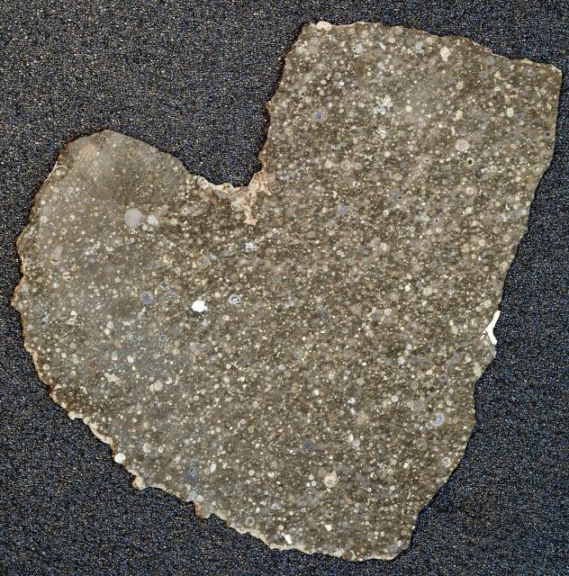 "NWA 8722 meteorite, heart-shaped slice."

Steve Jurvetson from Los Altos, USA, CC BY 2.0, via Wikimedia Commons.