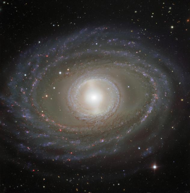 "Ribbons and pearls NGC 1398."

ESO, CC BY 4.0, via Wikimedia Commons.