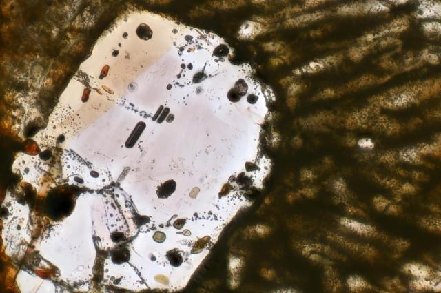 Selma Meteorite Thin Section microphotograph.

Solar Anamnesis, CC BY-NC-SA 2.0 via Flickr: https://flic.kr/p/2fnMuWs