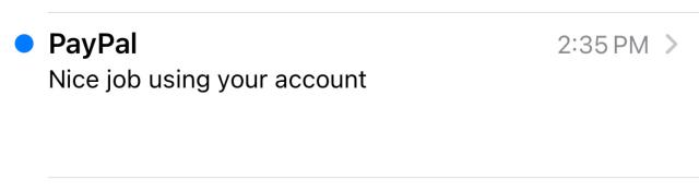 email from paypal: Nice job using your account