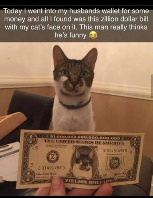 CAT MONEY