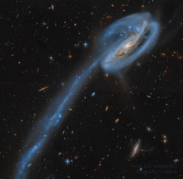 A spiral galaxy is shown on the upper left with a really long tail of stars and blue-glowing gas trailing to the lower left.