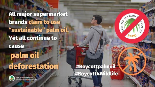 Boycott Danone’s products and buy #palmoilfree. They use so-called “sustainable” #RSPO #palmoil. Yet ALL PALM OIL causes #deforestation, #extinction and #humanrights abuses. Take action and #Boycottpalmoil #Boycott4Wildlife in the supermarket @palmoildetect https://wp.me/scFhgU-danone
