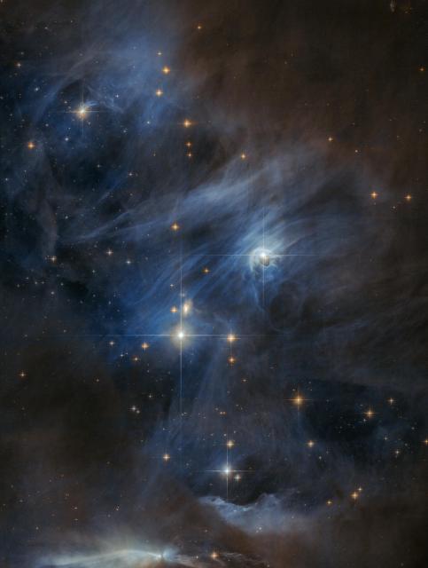 Chamaeleon.

geckzilla, CC BY 2.0, via Wikimedia Commons.