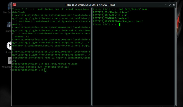 A terminal with two shells side by side, on the left: Almalinux running via Docker, on the right the host OS: Manjaro on EeePC 1005 from 2010