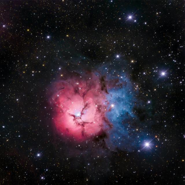 M20, the Trifid nebula.

Manolo Gómez, CC BY 2.0 via Flickr: https://flic.kr/p/2q2B131