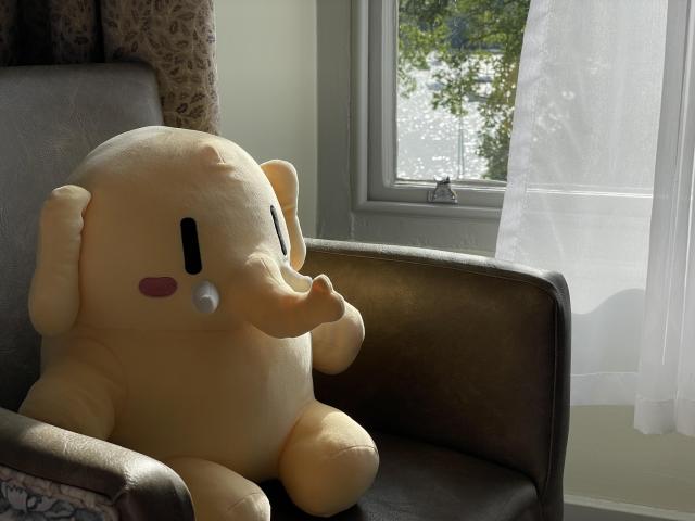 A stuffed Mastodon toy sitting in a chair in front of a window that displays a body of water. 