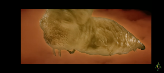 Image of space folding creature from David Lynch version of Dune.