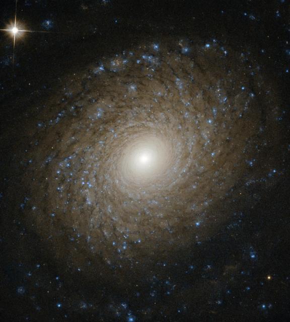 "A Beautiful Whorl."

ESA/Hubble and NASA, L. Ho; CC BY 4.0 via Wikimedia Commons or Flickr: https://flic.kr/p/2gBXwXo