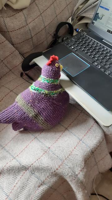 A knitted chicken sits on a sofa apparently looking at the screen of a laptop. 