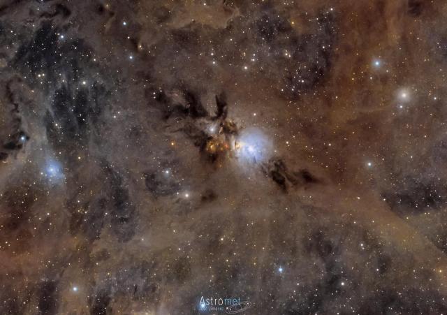 NGC 1333.

José Jiménez CC BY 2.0 via Flickr: https://flic.kr/p/2mYVBqN