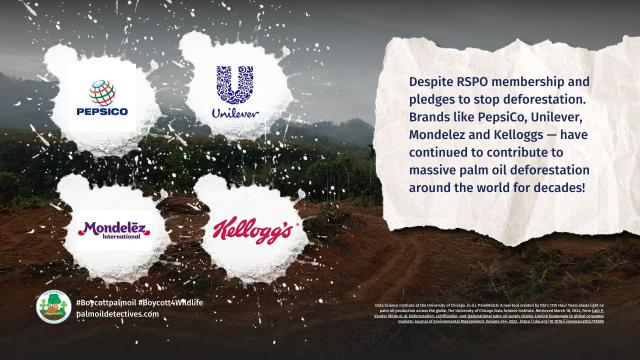 Game-changing free tool #PalmWatch helps you track #palmoil #deforestation and #humanrights abuses by “sustainable” RSPO members: Nestle, Kelloggs, Unilever, Ferrero, Mondelez. Uncover their #ecocide and #Boycottpalmoil #Boycott4Wildlife @palmoildetect https://wp.me/pcFhgU-7lp
