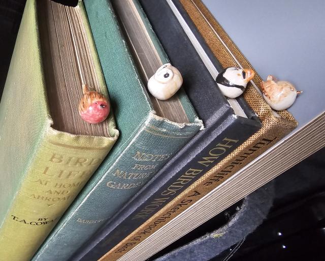 Book 1: yellowy green book titled 'Bird Life at Home and Abroad' with ceramic Robin bookmark
Book 2: green book titled 'Notes from Nature's Garden' with barn owl bookmark
Book 3: black book titled 'How Birds Work' with puffin bookmark
Book 4: beige brown booked titled 'A Sketchbook of Birds' with wren bookmark 