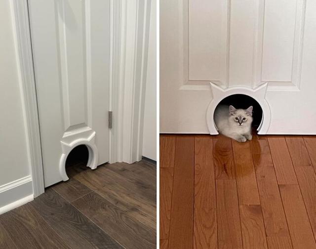 cat door