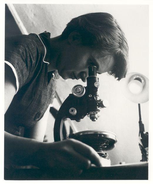 Rosalind Franklin with microscope in 1955.
MRC Laboratory of Molecular Biology

The photograph is from 1955, during the peak of Franklin’s research career. This period was marked by significant advancements in molecular biology and the study of DNA.

Rosalind Franklin, the pioneering scientist known for her crucial contributions to the discovery of the DNA double helix structure, is depicted in this photograph. She is seen sitting or standing at a laboratory bench, intently working with a microscope. 