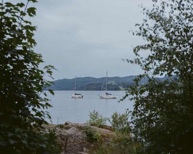 Two sailboats on a lake framed by trees on either side and a rock at the bottom.