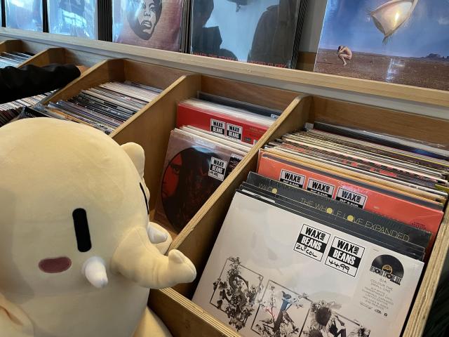 A stuffed Mastodon toy in front of rows of vinyls with the Wax and Beans sticker on them. 