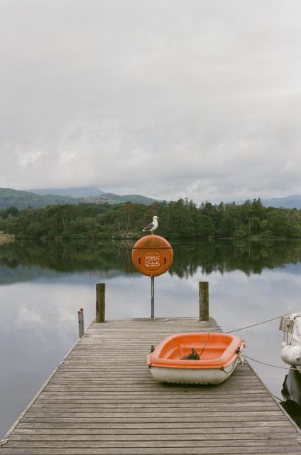 A seagull on top of a round orange container on top of a pier overlooking a body of water. Next to it is a small orange boat. 