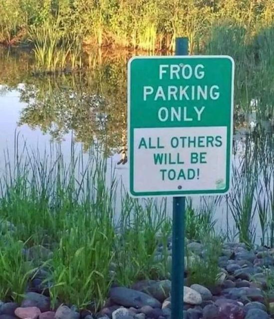 frog parking