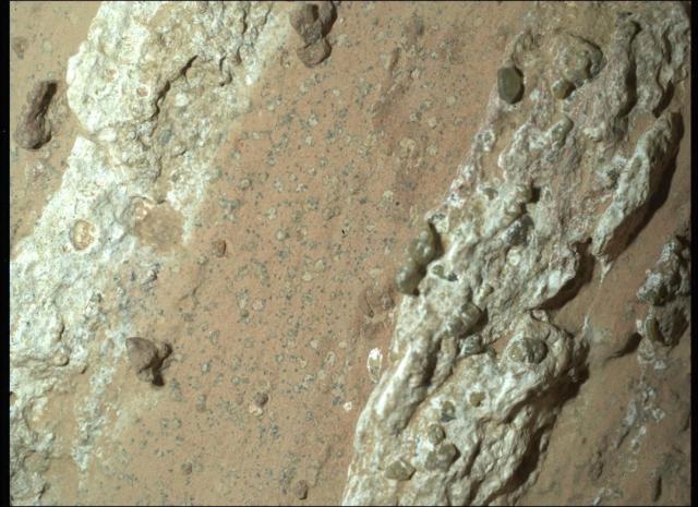 Part of a large rock on Mars is shown being mostly orange. On the rock are several irregular light-colored areas surrounded by a dark border. The spots are only millimeters across but might carry big implications.