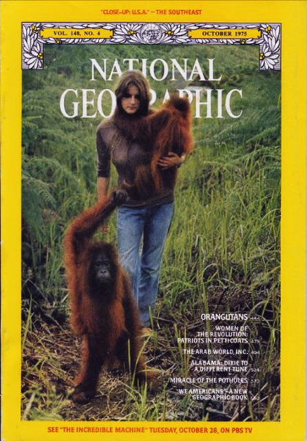 🦧 See Dr Birute Galdikas in #Newcastle, #Australia Tues 6th Aug! And celebrate 50+ yrs of her groundbreaking work in orangutan conservation. Proudly presented by @Uni_Newcastle and @OFIAustralia Learn from the world's biggest legend of #Orangutan #Conservation #WomenInScience 💌🦧🧡https://civictheatrenewcastle.com.au/what-s-on/all-shows/orangutans-a-conservation-legacy