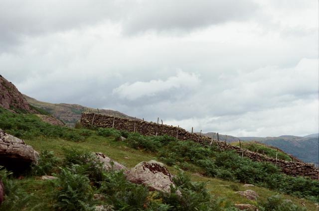 A stone cattle enclosure on a green fellside, with rocks and ferns in the foreground, and a grey, overcast sky, with one cloud in particular sticking out from the rest.