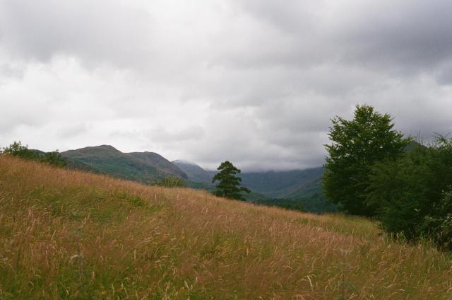 A yellow field under a grey cloudy sky, with green fells in the distance.