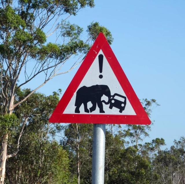 Careful, elephants.