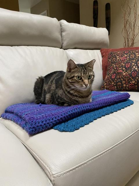 Tabby cat laying on a crocheted throw made from purple blue and teal yarn. 