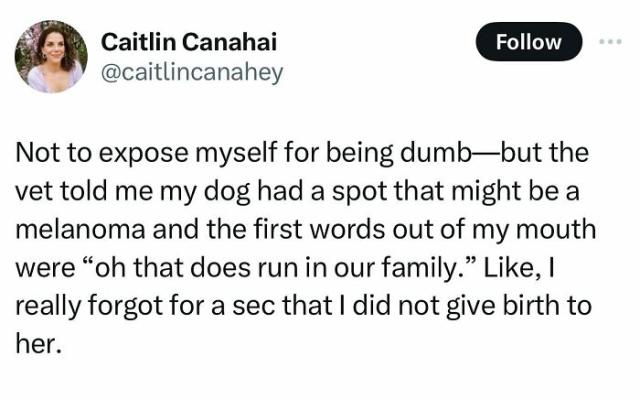 the dog is part of the family