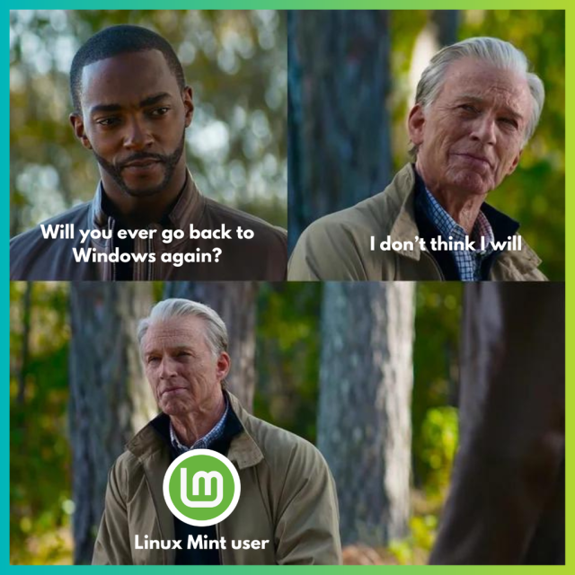 There are two people having a conversation, one of them asks, “Will you ever go back to Windows again?”.

The other person replies, “I don't think I will”. Then he proceeds to walk away, there is something written on him:

Linux Mint user (there's a logo too)

