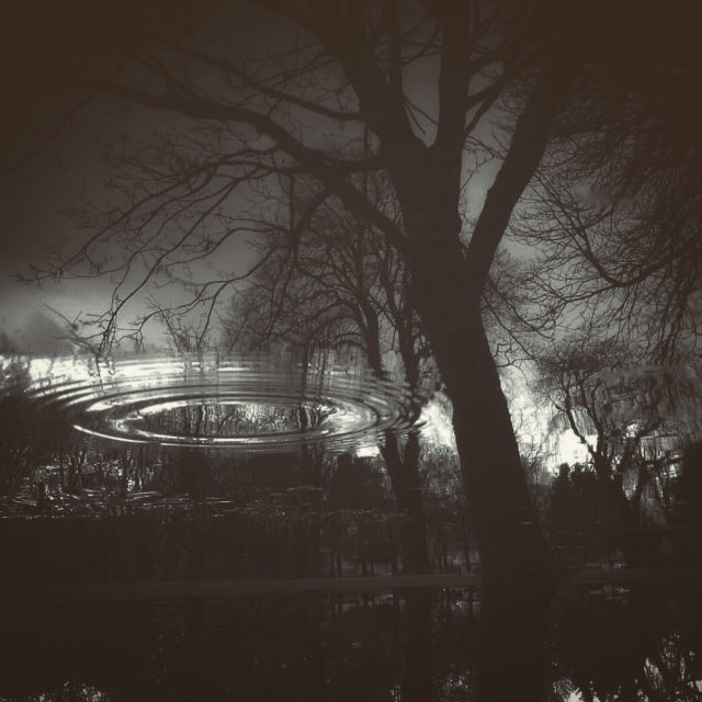 A droplet of water has caused concentric circles to radiate out in a puddle that reflects a tree scape. A monotone image, that’s inverted, giving a sense of the circles being in the air.