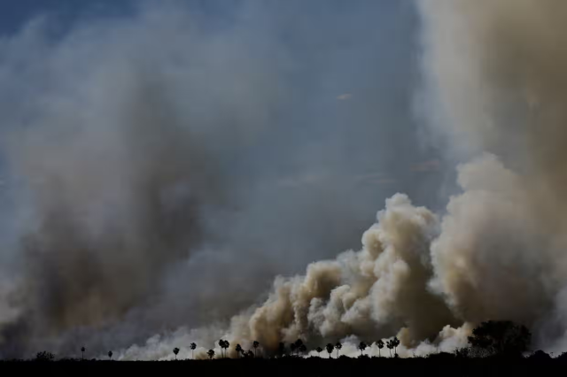 #News: Scientists warn that a proposed commercial waterway through the Pantanal #wetland could devastate the #ecosystem, increasing wildfires and threatening #biodiversity. #deforestation #BoycottPalmOil #BoycottGold #Boycott4Wildlife https://www.theguardian.com/environment/article/2024/aug/12/pantanal-waterway-project-would-destroy-paradise-on-earth-scientists-warn-aoe
@guardian   