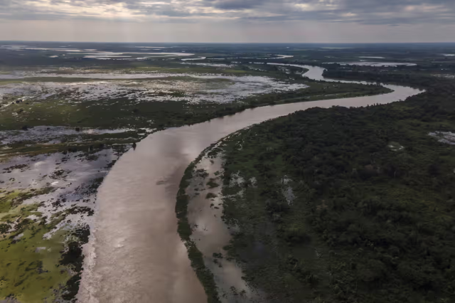 #News: Scientists warn that a proposed commercial waterway through the Pantanal #wetland could devastate the #ecosystem, increasing wildfires and threatening #biodiversity. #deforestation #BoycottPalmOil #BoycottGold #Boycott4Wildlife https://www.theguardian.com/environment/article/2024/aug/12/pantanal-waterway-project-would-destroy-paradise-on-earth-scientists-warn-aoe
@guardian   